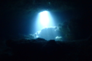 E47439BB-795F-45C5-AD75-240CE00B9298.jpeg