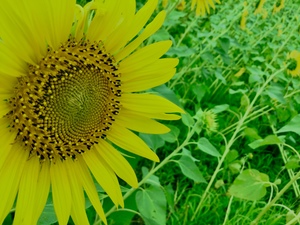 4D303B27-7E2F-4211-BE4D-66CAD7CA0082.jpeg