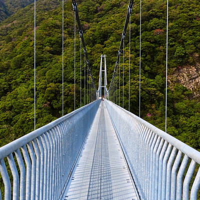 綾の照葉大吊橋.jpg