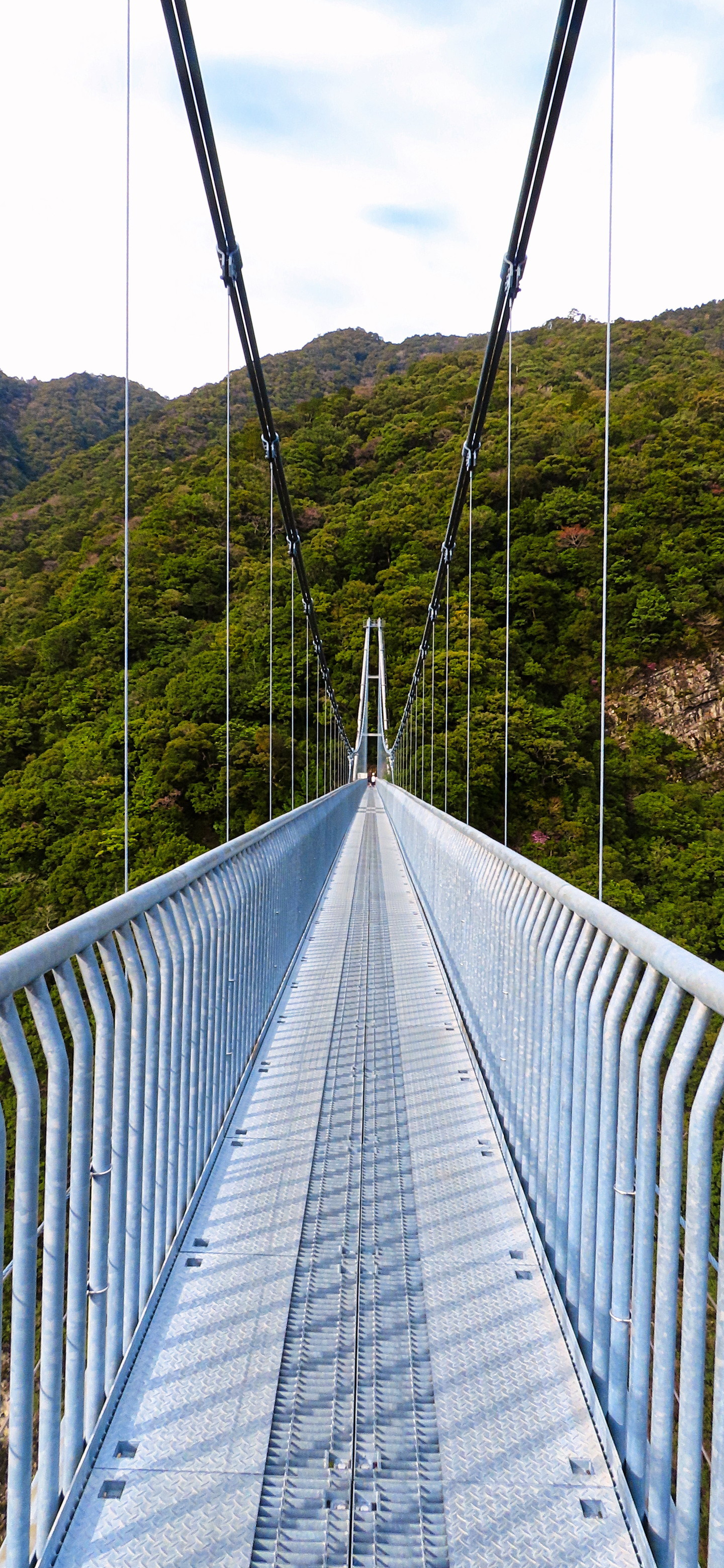 綾の照葉大吊橋.jpg