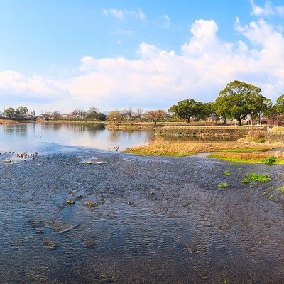 水前寺江津湖公園〜水流フォト〜.jpg