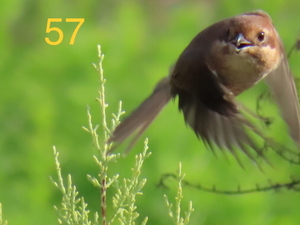 359ED9AE-AF51-4B4B-AA24-86B5A7C92CDA.jpeg