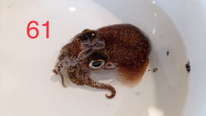 0558F716-EEB6-463D-8EA1-F192635C6247.jpeg