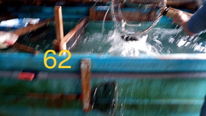 D39EBF95-69AD-4E68-BE62-4214FA0F0F2E.jpeg