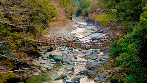祖谷のかずら橋.jpg