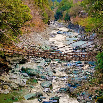 祖谷のかずら橋.jpg