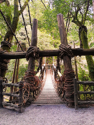 祖谷のかずら橋_(2).jpg