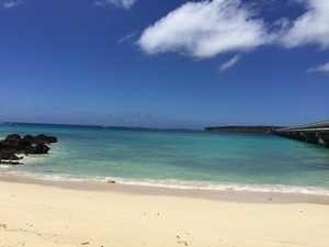 45B05706-11D7-485C-8F48-8C6F3DB80F7D.jpeg