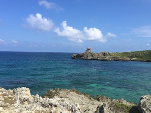979F392B-B8F5-46AE-9271-4C12C5925651.jpeg