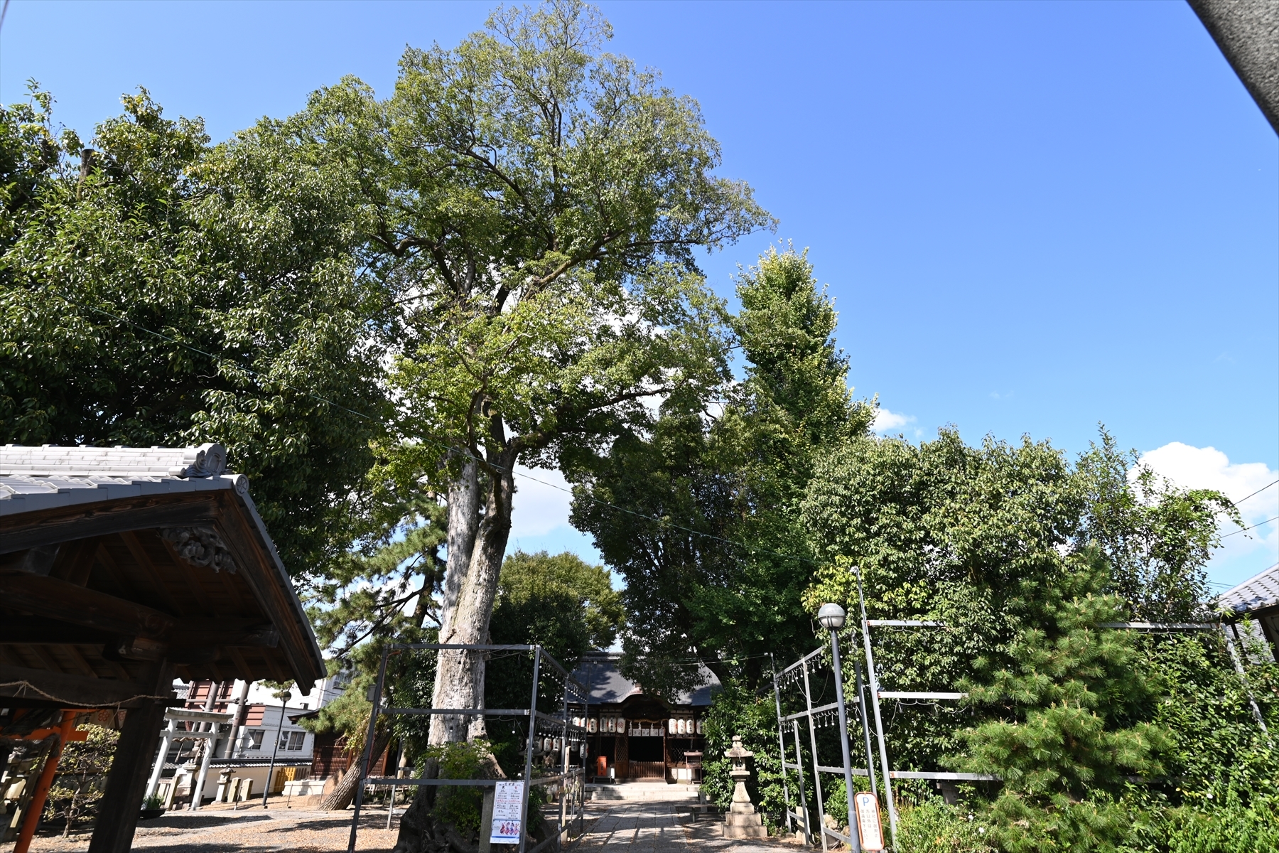 県神社016.JPG