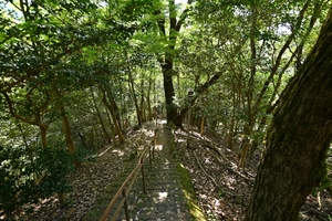 県神社011.JPG