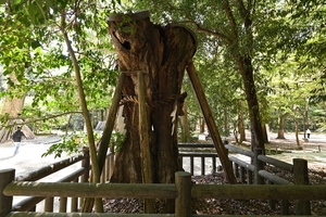 下鴨神社009.JPG