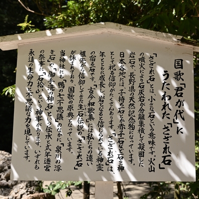 下鴨神社026.JPG