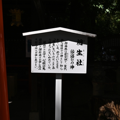 下鴨神社028.JPG