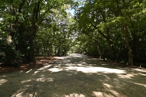 下鴨神社095.JPG