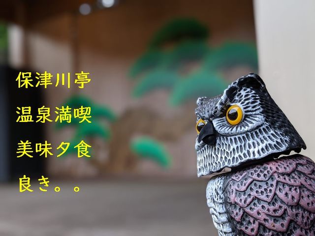 hozu-101.jpg