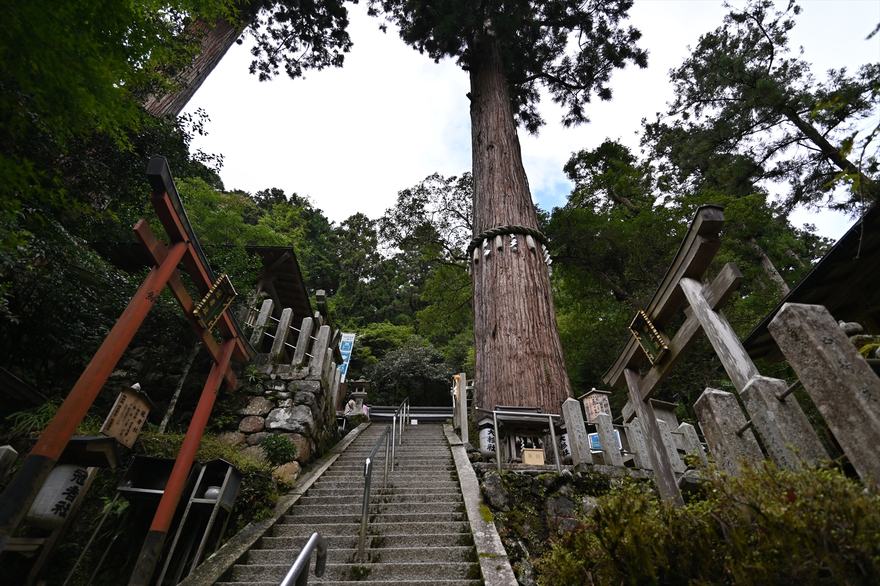 由岐神社007.JPG