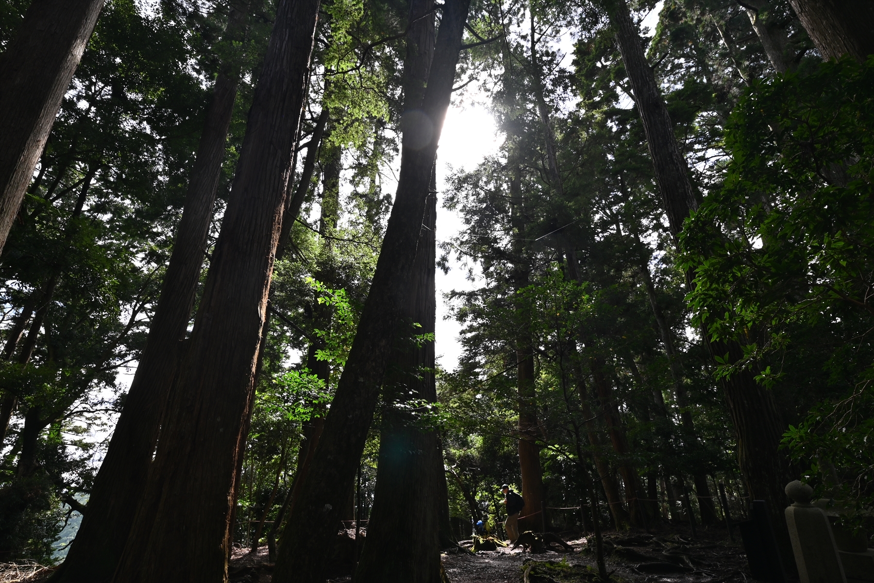 鞍馬寺069.JPG