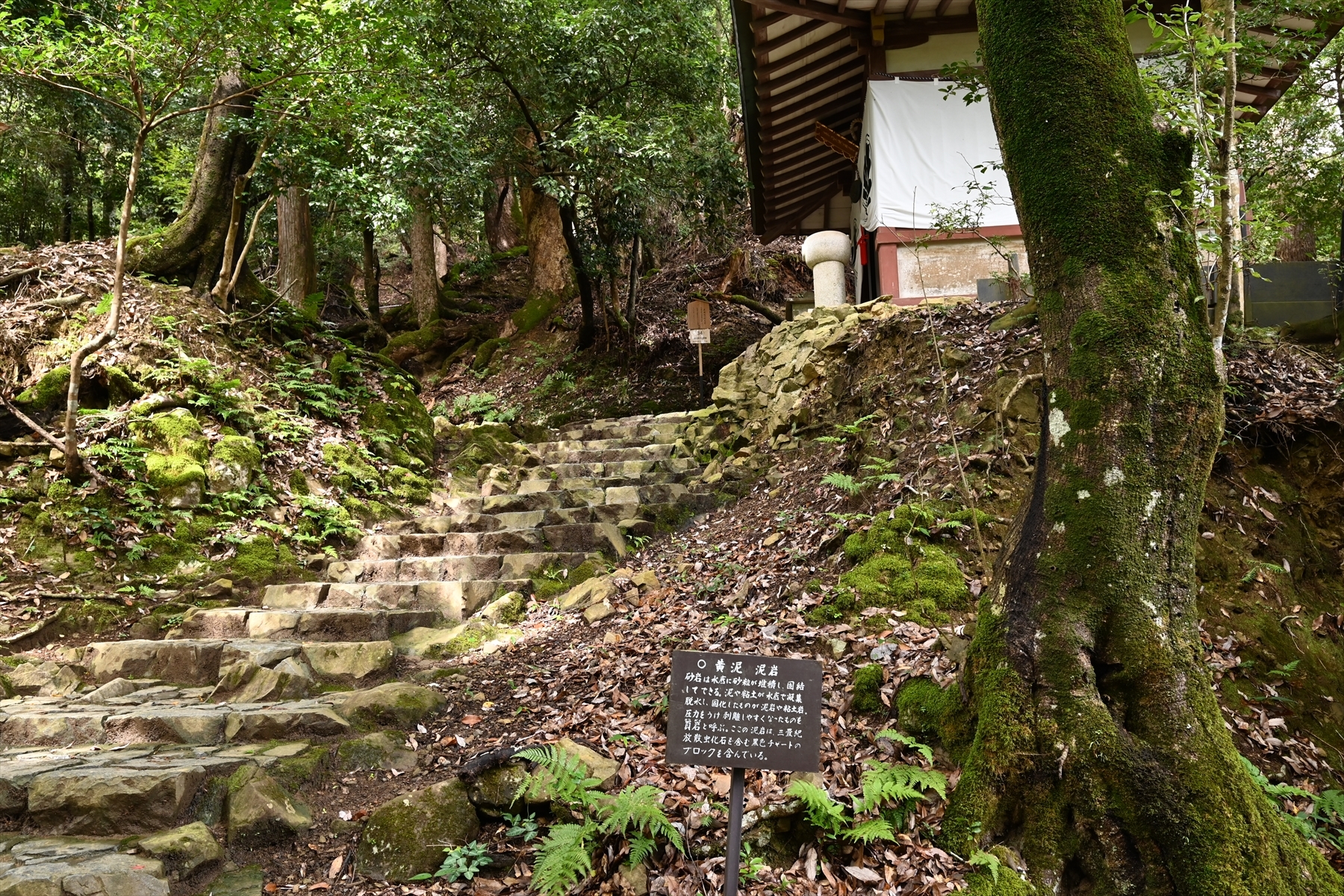 鞍馬寺052.JPG