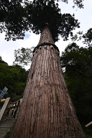 鞍馬寺021.JPG