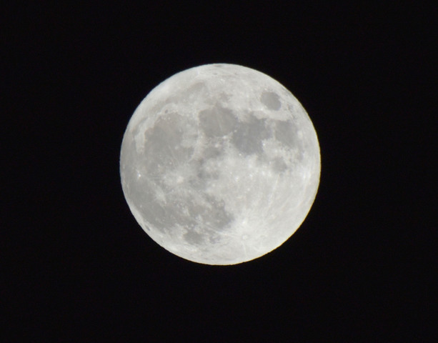 満月.jpg