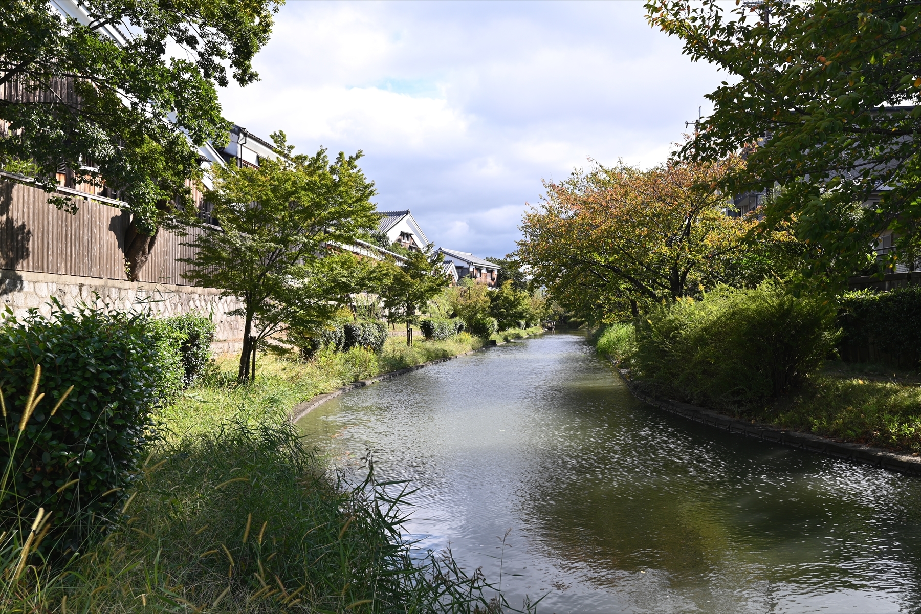 伏見運河020.JPG