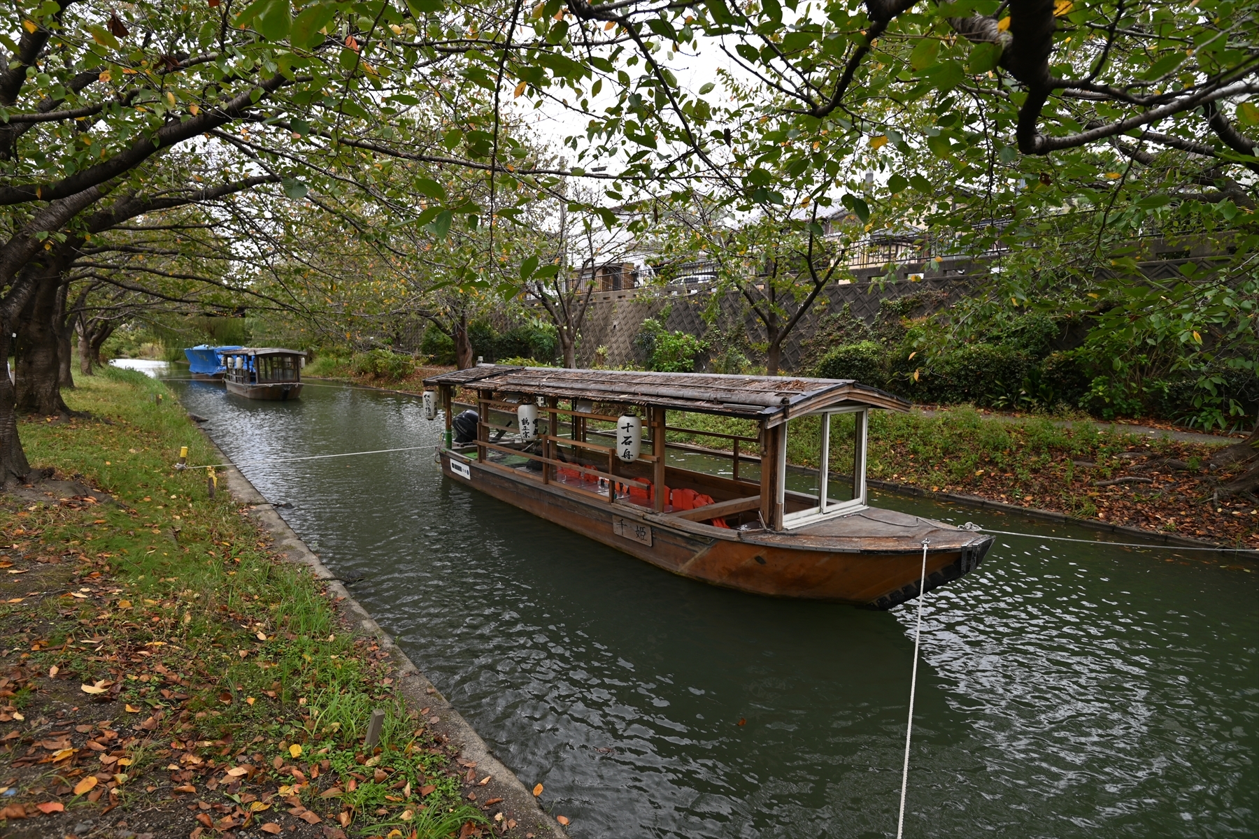 伏見運河004.JPG