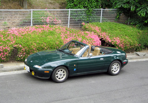 My_Car_2.jpg