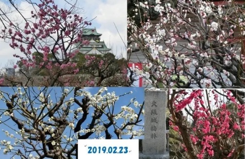 201903oosakajyou22.jpg
