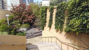 DSC_0423.JPG