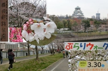 201903oosakajyou.jpg