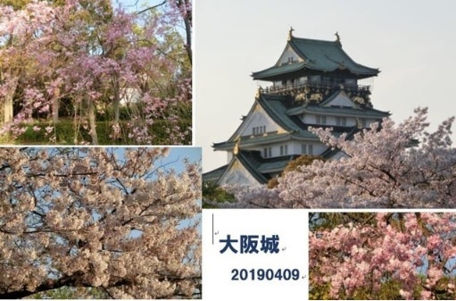 201904oosakajyou.jpg