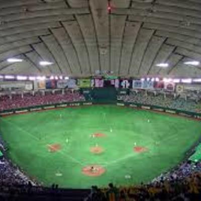 1280px-Tokyo_Dome_2007-2.jpg