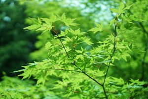 F379AF9F-480B-4340-9C7A-8D28DC52DC08.jpeg