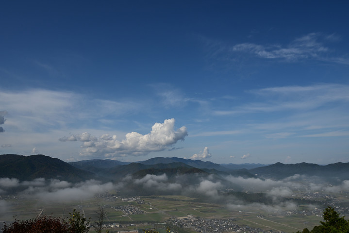 DSC_1155.jpg