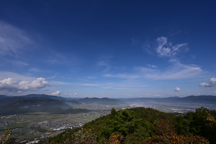 DSC_1165.jpg