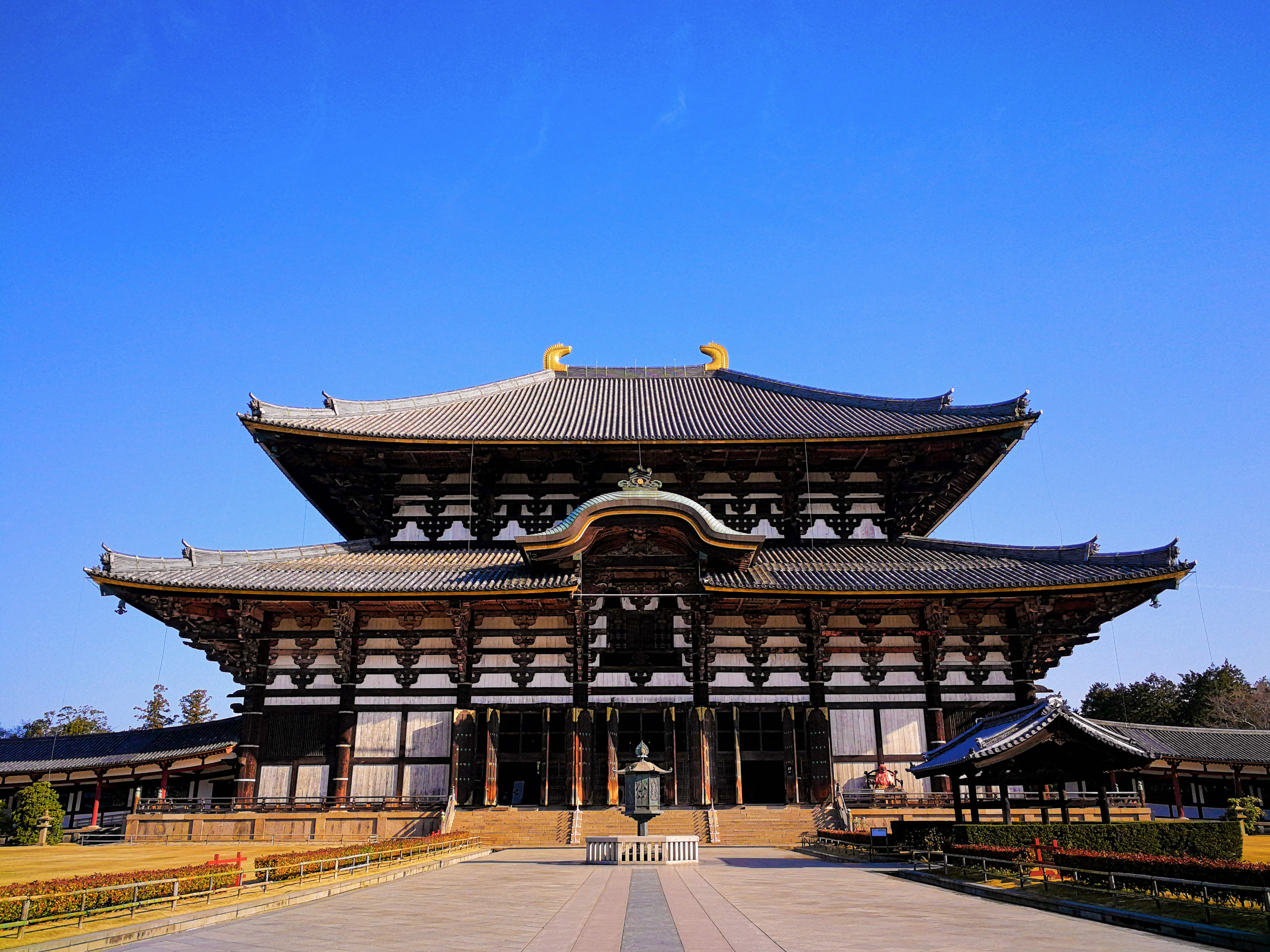 東大寺_大仏殿IMG_20200317_081251_.jpg