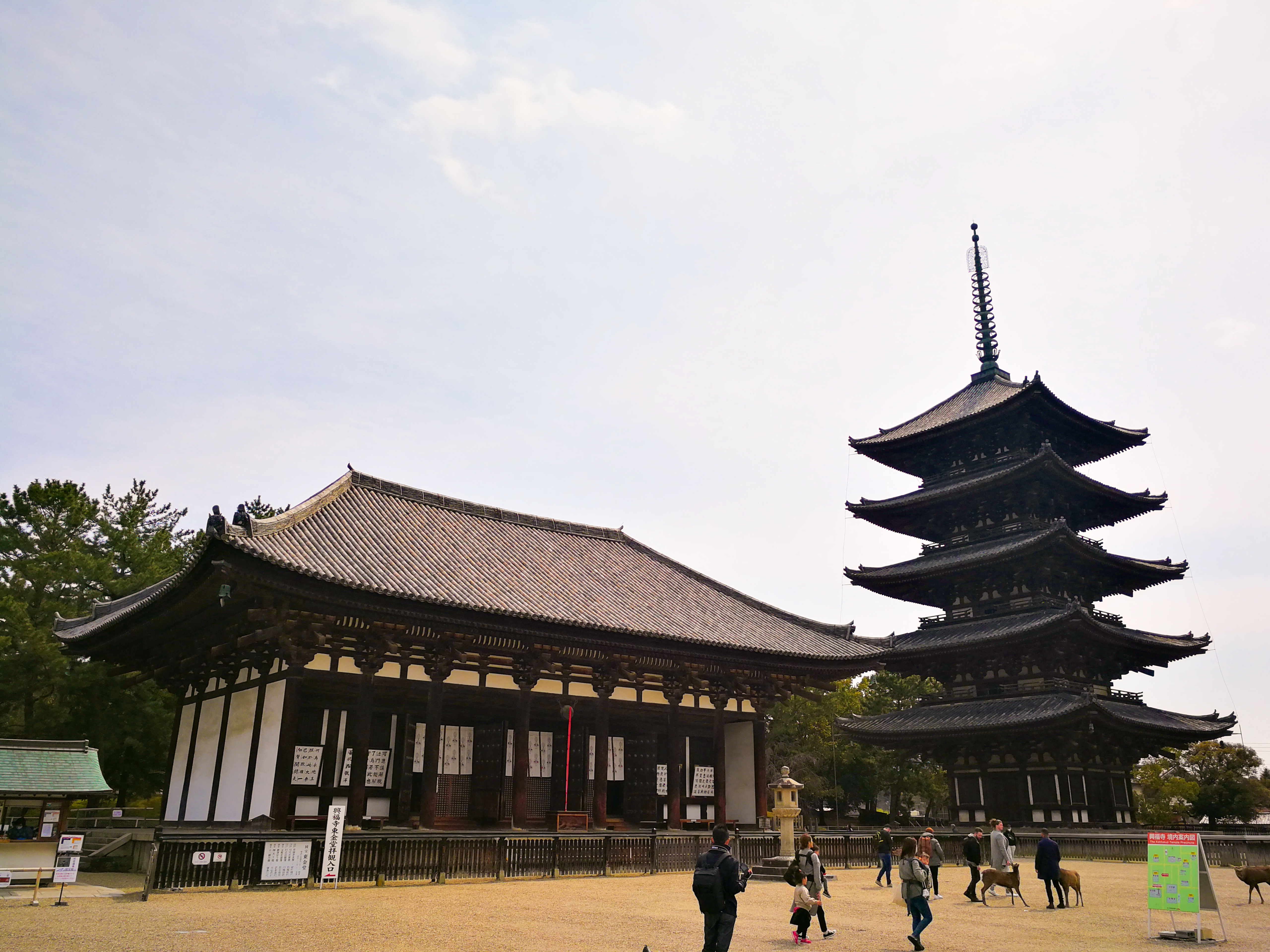 興福寺IMG_20200317_113347.jpg