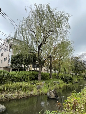 2FC8755C-5422-4A51-B0D1-E6722427DF6D.jpeg