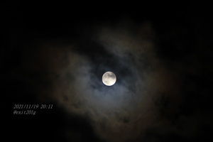 IMG_1662.jpg