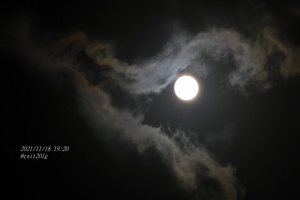 IMG_1598.jpg