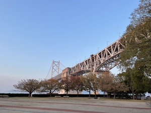A14B48E8-73A8-4F63-8D55-8F86A247D538.jpeg