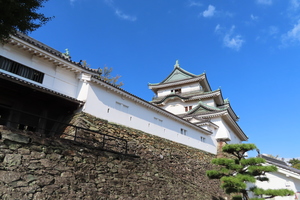 74B31EAB-D087-4A8C-ABC1-5D2C34F44E45.jpeg