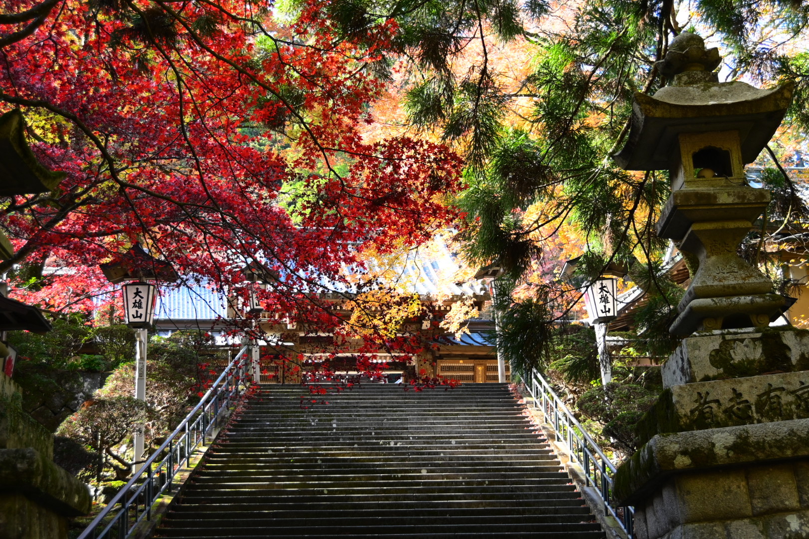 大雄山最乗寺の紅葉🍁 | 掲示板 | マイネ王