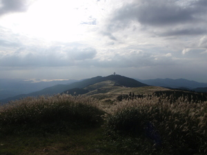 PA070491.JPG