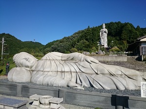 DSC_0805.JPG