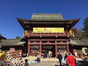 4D27296C-7445-4F6C-8B1A-EEDFC49225C4.jpeg