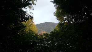 aDSC02854.JPG