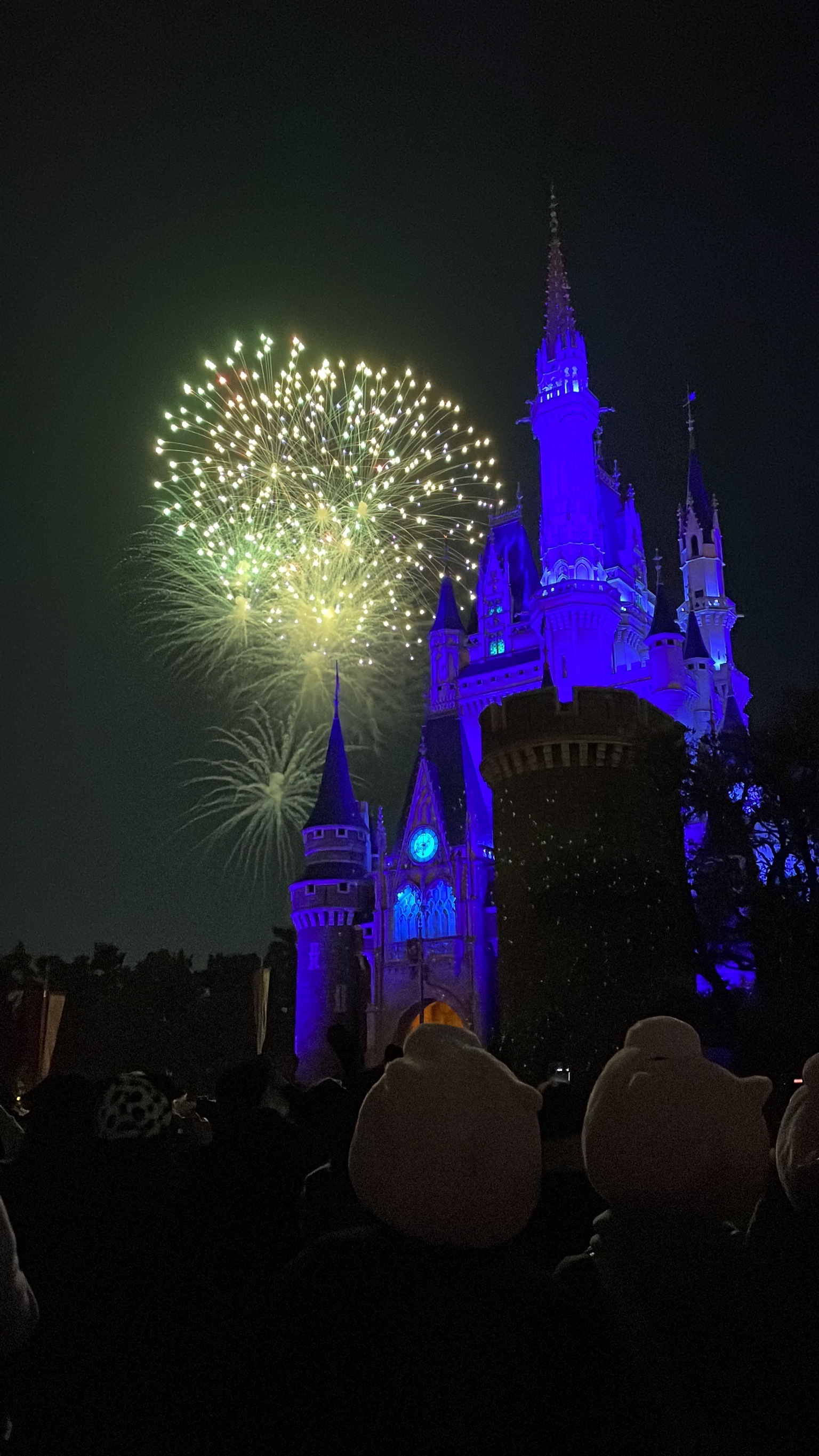 東京ディズニーランドの花火 掲示板 マイネ王 東京ディズニーランドの花火 掲示板 マイネ王