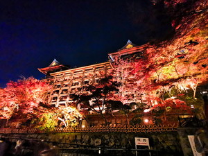 IMG_20211129_202506.jpg